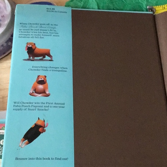 ☘️2 for $10 Sale☘️The Fabulous Bouncing Chowder hardcover book autographed clean - Picture 4 of 10